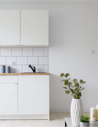 Modern Style Kitchen with cabinets