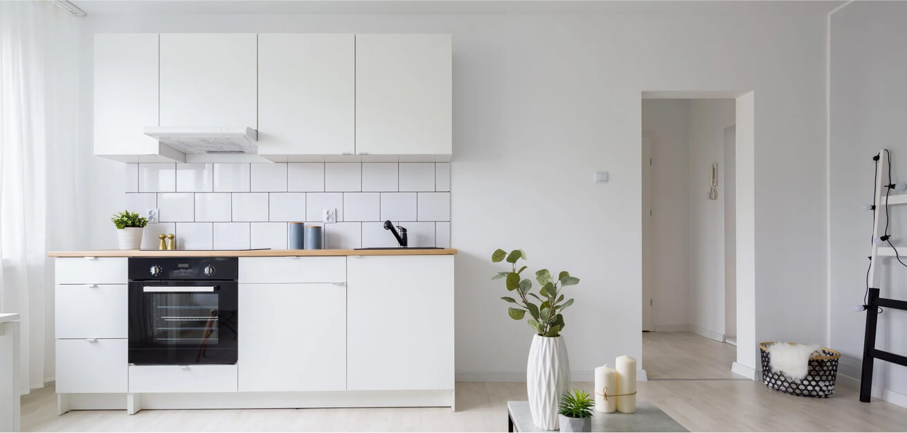 Modern Style Kitchen with cabinets